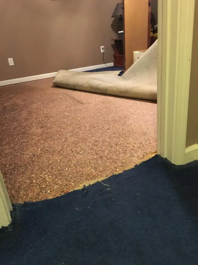 Carpet pad removal revealing water damage during Drying & Dehumidification in Senatobia
