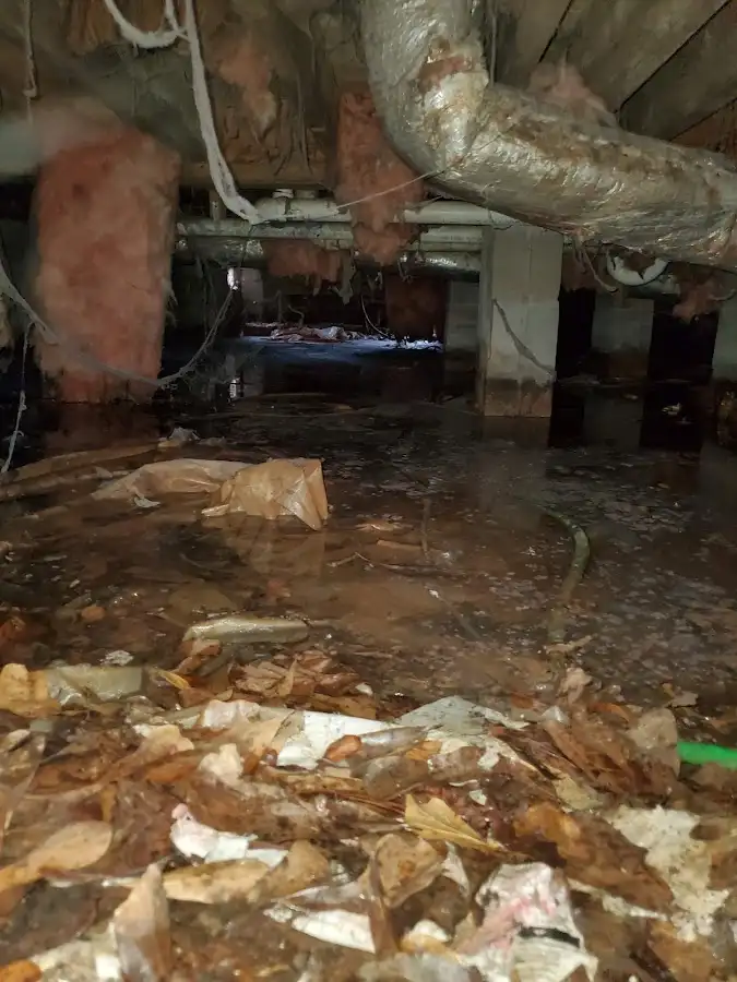 Crawl space flood assessment for Leak Detection & Repair in Senatobia