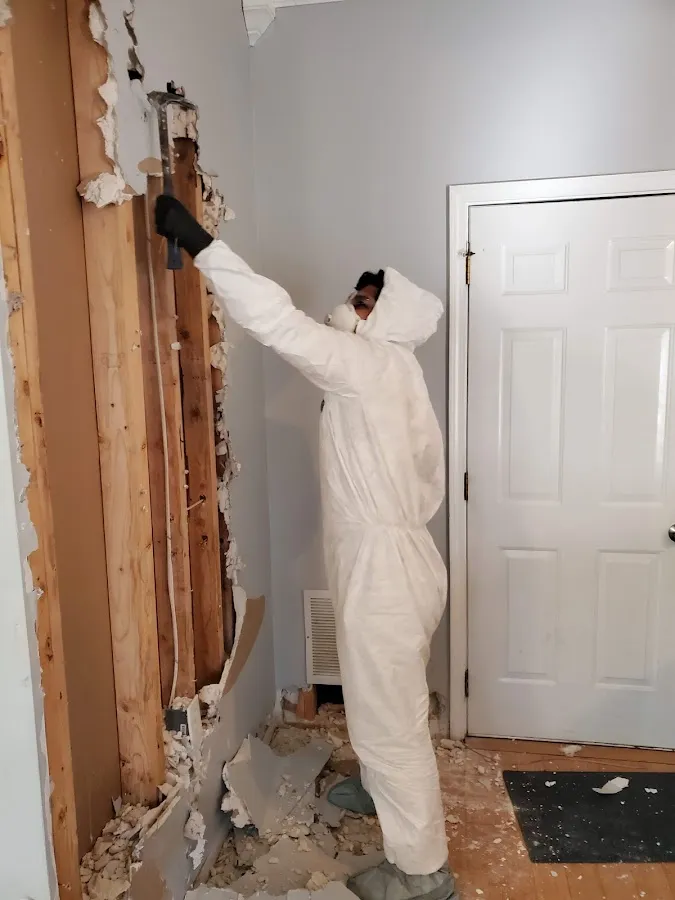 Water Damage Restoration services in Senatobia, MS